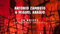 António Zambujo & Miguel Araújo - 28 Noites Ao Vivo nos Coliseus